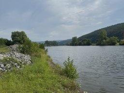 Mainschwimmen Juni 2026